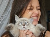 Ученые объяснили, почему не стоит обниматься с котами