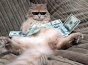 Февраль будет финансово успешным для Стрельцов, Водолеев и Рыб