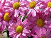 Красивые поздравление с днем рождением на 28 августа