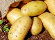 Импорт картофеля: Украина побила рекорд ноябрьского показателя