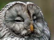 Простые привычкы от которых стоит избавиться чтобы жить дольше