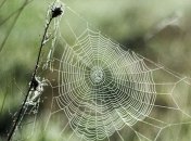 Солнечно, но морозно: прогноз погоды на 24 сентября