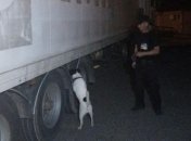 На Одесщине пограничники изъяли 7 тыс. поддельных стикеров для электронных сигарет