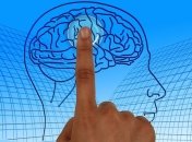 Ученые заявили, человеческое сознание формируется бессознательной работой мозга