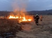 В Закарпатье пытались уничтожить знаменитую Долину нарциссов (фото)