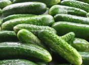 Секрети великого урожаю огірків