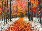 Ноябрь в Киеве установил пять температурных рекордов