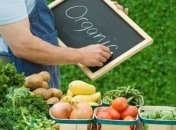 Органическую продукцию в Украине можно выращивать рядом с ГМО