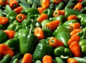 Сладкий перец - один из самых популярных овощей