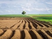 Опрос: Как украинцы относятся к продаже земли