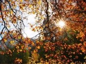 Со следующей недели в Украине потеплеет