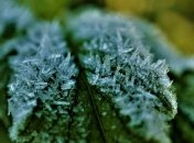 Мороз и солнце: прогноз погоды на 2 января