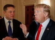 Илон Маск и Дональд Трамп
