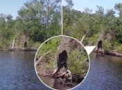 Рыбаку удалось запечатлеть снежного человека