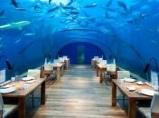 Необычный отдых для любителей лицезреть водные глубины (Фото)