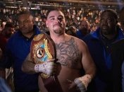 WBO может отобрать у Руиса чемпионский пояс