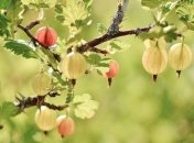 Какой праздник 14 мая: народные приметы и запреты