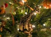 В харьковском зоопарке животные едят новогодние елки