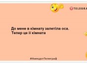Успешный дятел добился всего сам: веселые шутки о братьях наших меньших