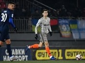 Эффектный гол бисиклетой от Степаненко (Видео)