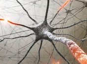 Ученые доказали, что склероз имеет генетическую природу