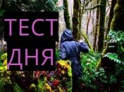 Узнайте свои сильные стороны характера с помощью теста-иллюзии