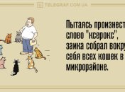 Даже не думайте скучать: вечерние анекдоты 23 января
