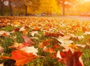 Погода в Украине