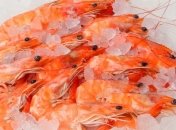 Креветки защитят сердце от болезней