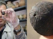 Ученые обнаружили древнейший искусственный глаз