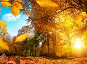 Фото Getty Images