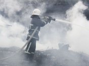 В Тернополе спасатели ликвидировали возгорание камыша (Фото)