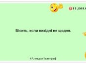 Свою субботу я посвящаю дивану: веселые шутки про выходные