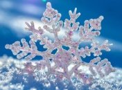 Сегодня в Украине мокрый снег