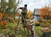 Осенью в саду можно делать только санитарную обрезку