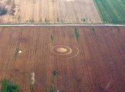 Археологи дізнавалися звідки таємничі кола у Польщі