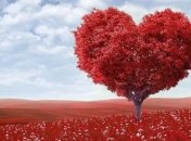 Любовный гороскоп на неделю: все знаки зодиака (20.01.2020 - 26.01.2020)