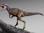 Описали карликовых предков тираннозавров