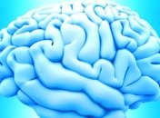 Лекарство, повышающее интеллектуальный уровень