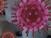 Уничтожает ли коронавирус высокая температура - новое исследование