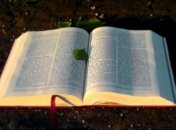 Книги, которые рассказывают правду: романы с реальными историями