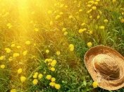 Прогноз погоды в Украине 17 июля: возвращается летняя жара, однако ночью - холод