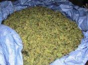 На Буковине задержали партию марихуаны стоимостью более 1,5 млн гривен