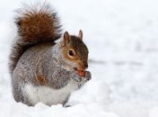 В Украину возвращаются морозы: в каких регионах похолодает 