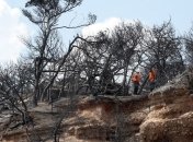 Причиной смертельных лесных пожаров в Греции мог стать поджог