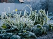 Весна часто непередбачувана щодо погоди