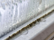 Сырость и чрезмерная влажность в доме – сезонная проблема