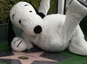 Персонаж мультфильма получил звезду на Аллее славы в Голливуде