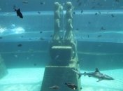 Дубайский отель "Атлантис" предлагает аттракцион "Сафари на акул"