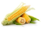 Кукуруза в детском питании